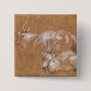 Study of Goats (drawing) 15 Cm Square Badge