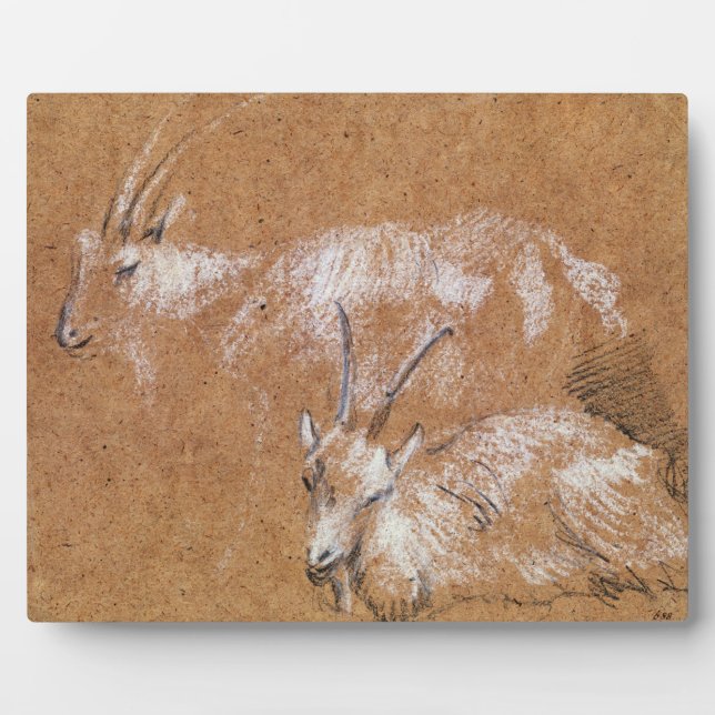 Study of Goats (drawing) Plaque (Front)