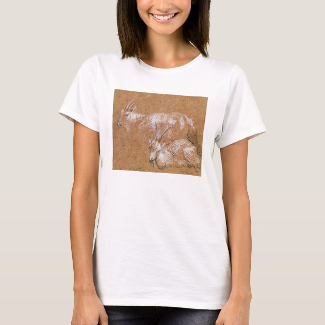 Study of Goats (drawing) T-Shirt (Front)