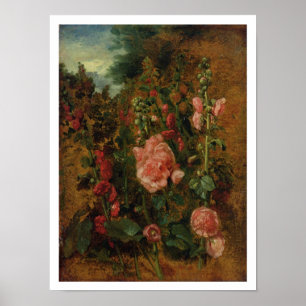 Study of Hollyhocks, c.1826 (oil on board) Poster