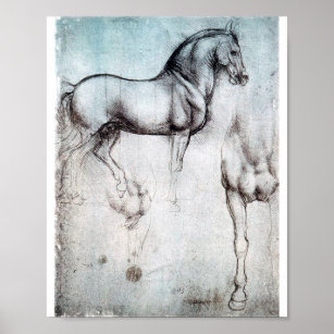 Study of Horse, Leonardo da Vinci Poster