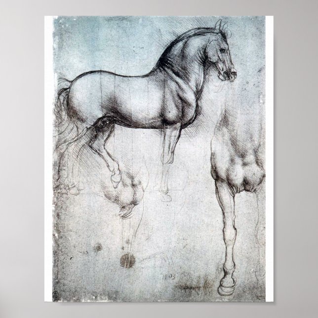 Study of Horse, Leonardo da Vinci Poster (Front)