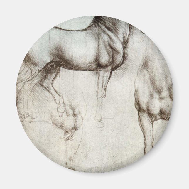 Study of horses - Leonardo da Vinci Magnet (Front)