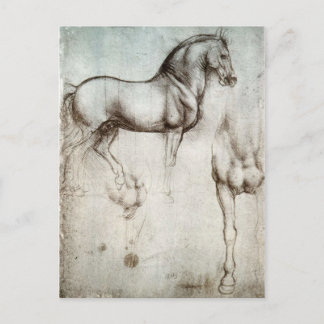 Study of horses - Leonardo da Vinci Postcard