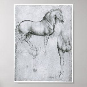 Study of Horses, Leonardo Da Vinci Poster