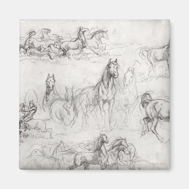 Study of Horses Magnet (Front)