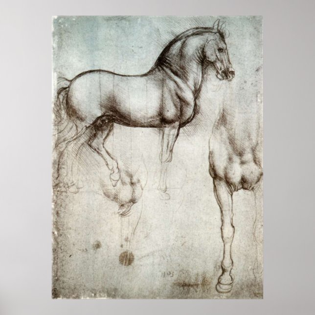 Study of Horses Poster (Front)