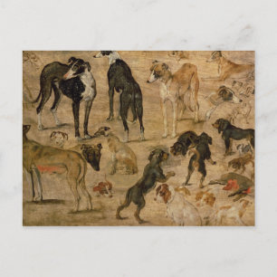 Study of Hounds, 1616 Postcard