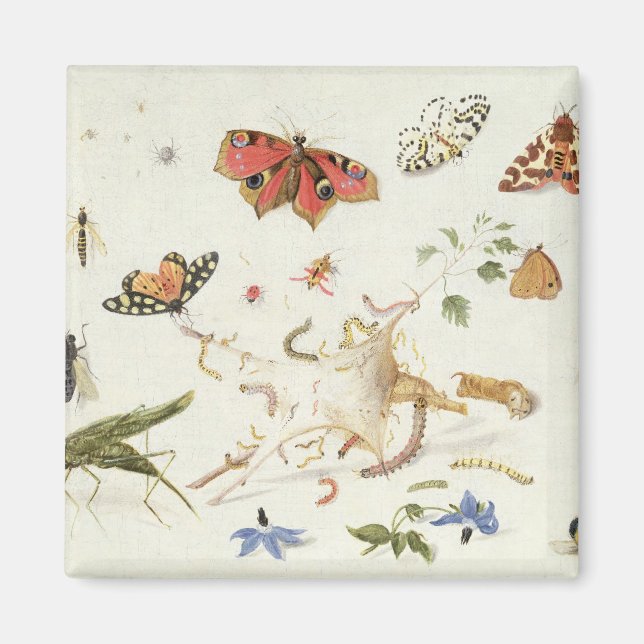 Study of Insects and Flowers Magnet (Front)