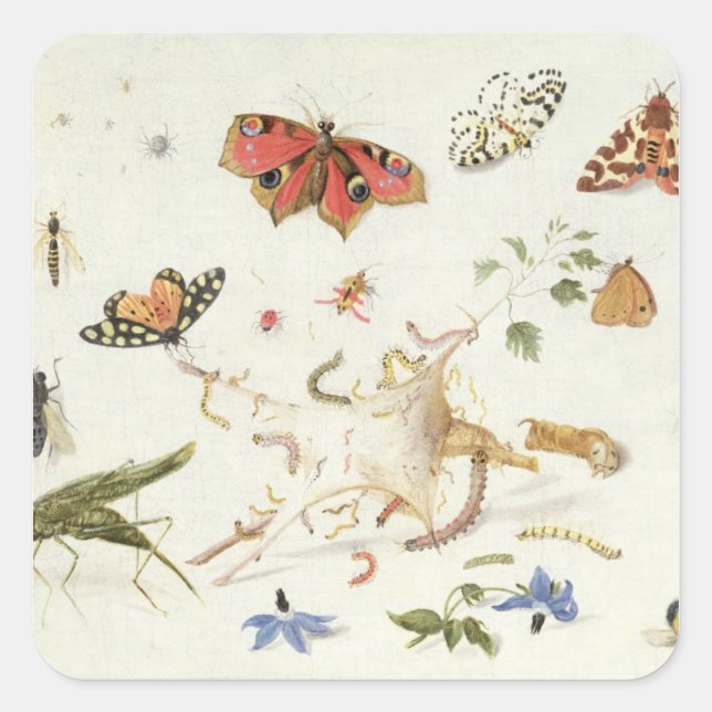 Study of Insects and Flowers Square Sticker (Front)