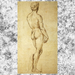 Study of Michelangelo's David Statue by Raphael Poster