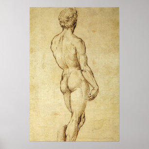 Study of Michelangelo's David Statue by Raphael Poster