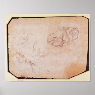 Study of Muscles Poster