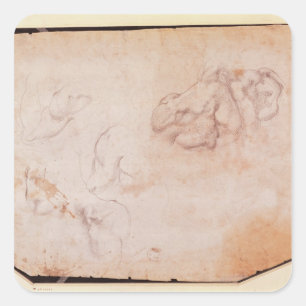 Study of Muscles Square Sticker