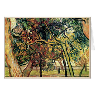 Study of Pine Trees Vincent van Gogh