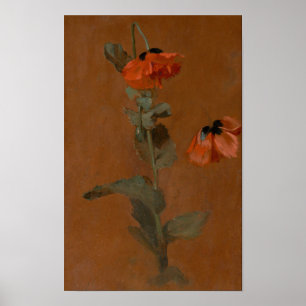 Study of Poppies – James Inskipp Poster