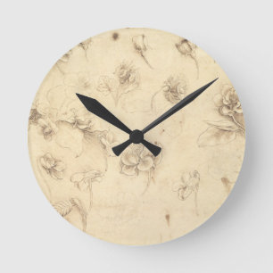 Study of the Flowers of Grass-like Plants (Briza M Round Clock