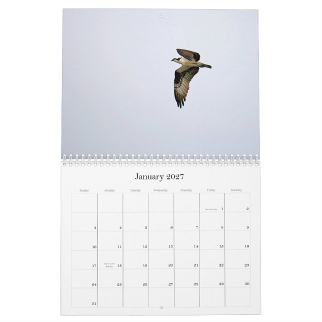Study of the Seahawk Calendar (Jan 2027)