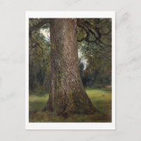 Study of the Trunk of an Elm Tree, c.1821 (oil on