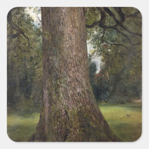 Study of the Trunk of an Elm Tree, c.1821 (oil on Square Sticker