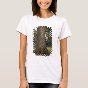 Study of the Trunk of an Elm Tree, c.1821 (oil on T-Shirt