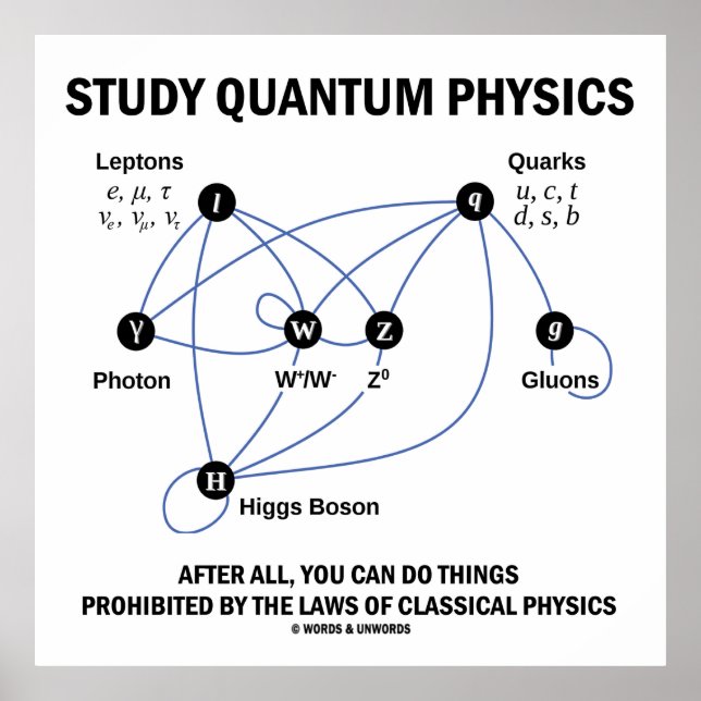 Study Quantum Physics After All You Can Do Things Poster (Front)