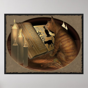 Studying Cat Lessons Print