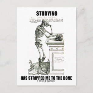 Studying Has Stripped Me To The Bone (Skeleton) Postcard