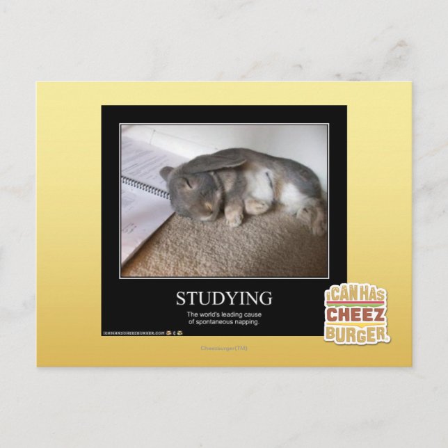 Studying Postcard (Front)