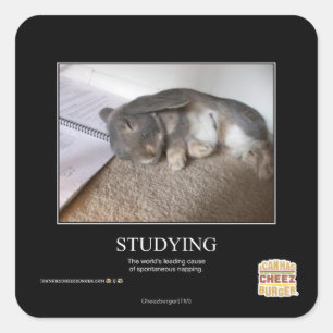 Studying Square Sticker