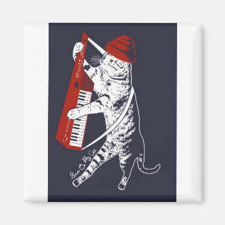 stuff on my cat - keytar magnet
