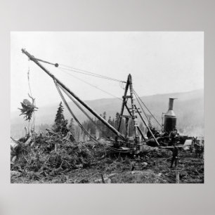 Stump Pump: 1913 Poster