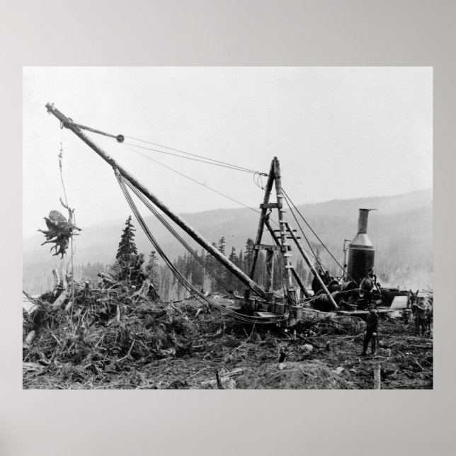 Stump Pump: 1913 Poster (Front)