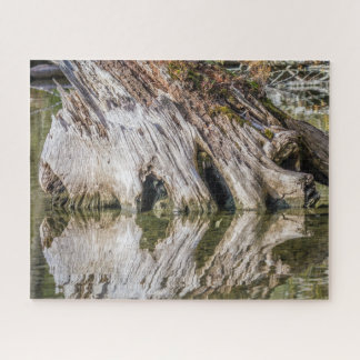 Stumped by Reflections - Jigsaw Puzzle