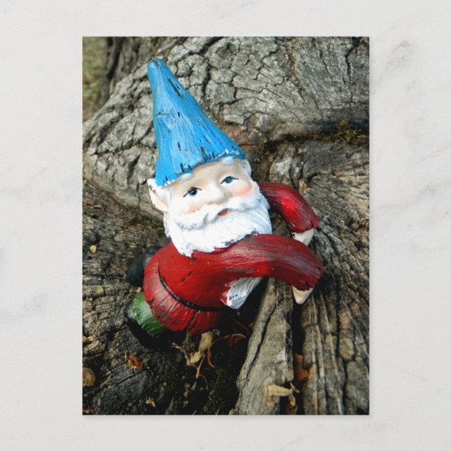 Stumped Gnome Postcard (Front)