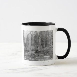Stumps of Trees Cut down by Donner Party Mug