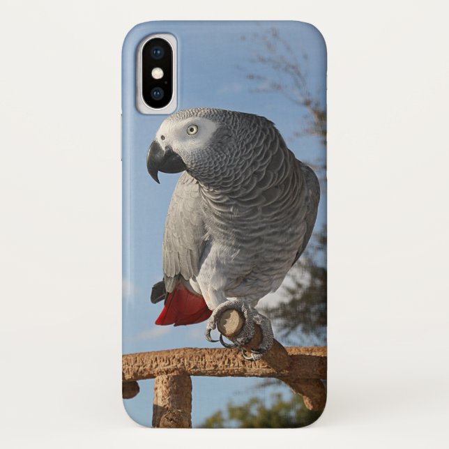 Stunning African Grey Parrot Case-Mate iPhone Case (Back)