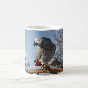 Stunning African Grey Parrot Coffee Mug