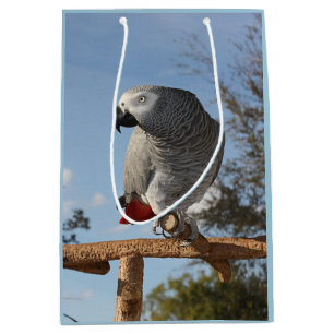 Stunning African Grey Parrot Medium Gift Bag