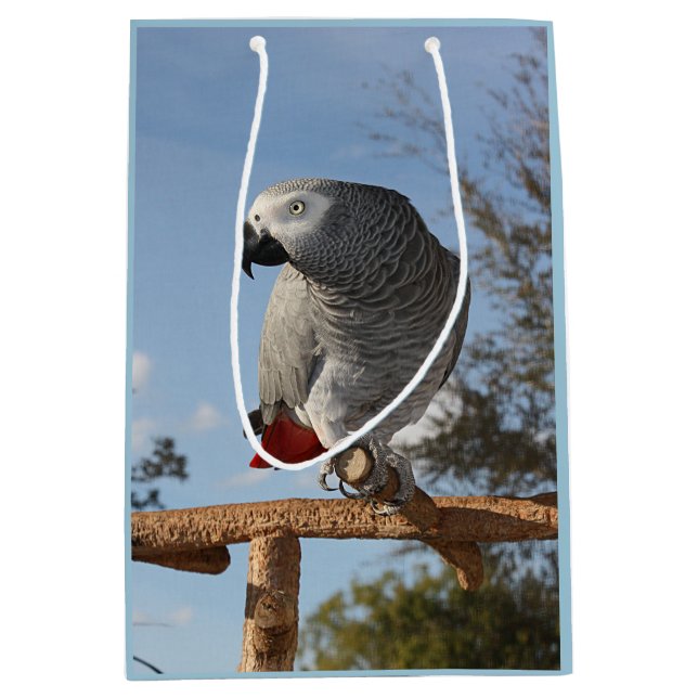 Stunning African Grey Parrot Medium Gift Bag (Front)