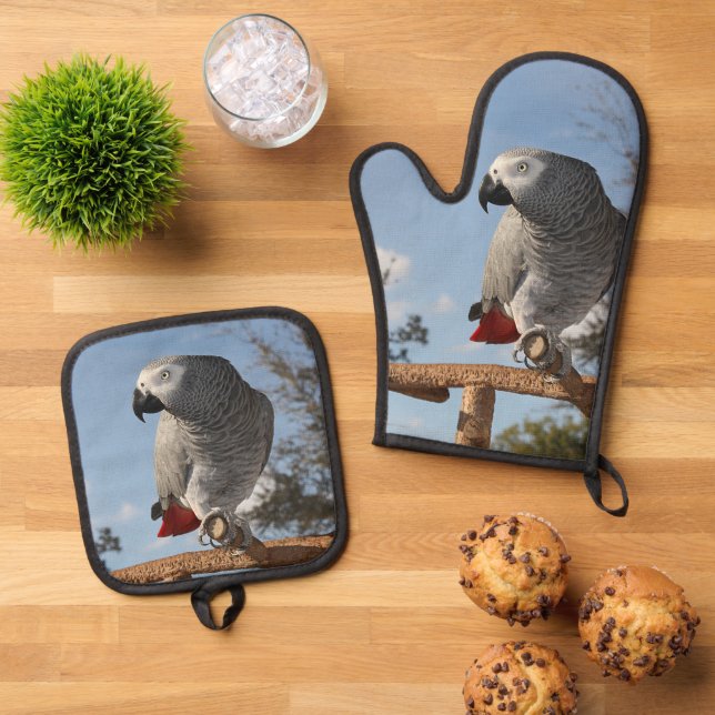 Stunning African Grey Parrot Oven Mitt & Pot Holder Set (Top Down)