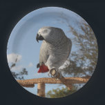 Stunning African Grey Parrot Paper Plate<br><div class="desc">Pretty African Grey on a tree stand with her pretty grey feathers and red tail watching her surroundings outdoors against the blue sky and oak trees.</div>