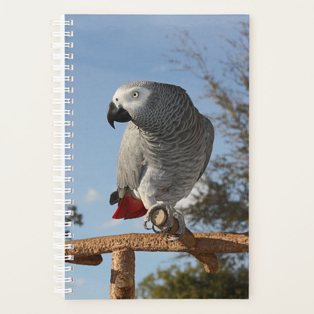 Stunning African Grey Parrot Planner (Front)