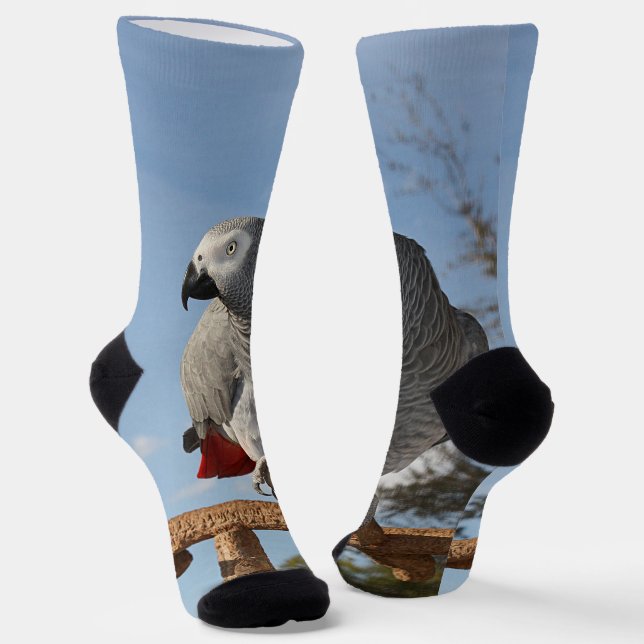 Stunning African Grey Parrot Socks (Angled)