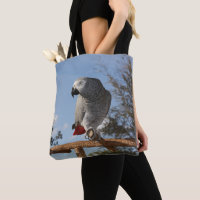 Stunning African Grey Parrot