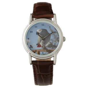Stunning African Grey Parrot Watch