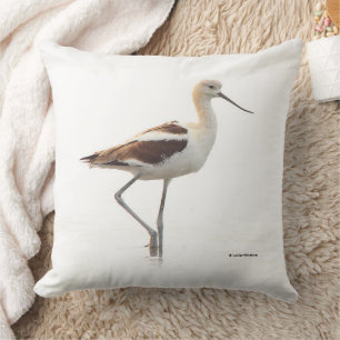 Stunning American Avocet Bird Strolling the Beach Cushion