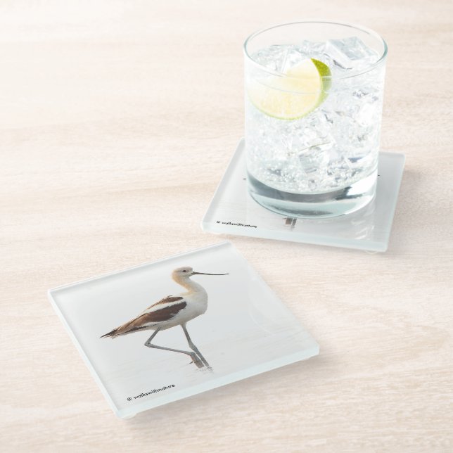 Stunning American Avocet Wading Bird at the Beach Glass Coaster (Angled)