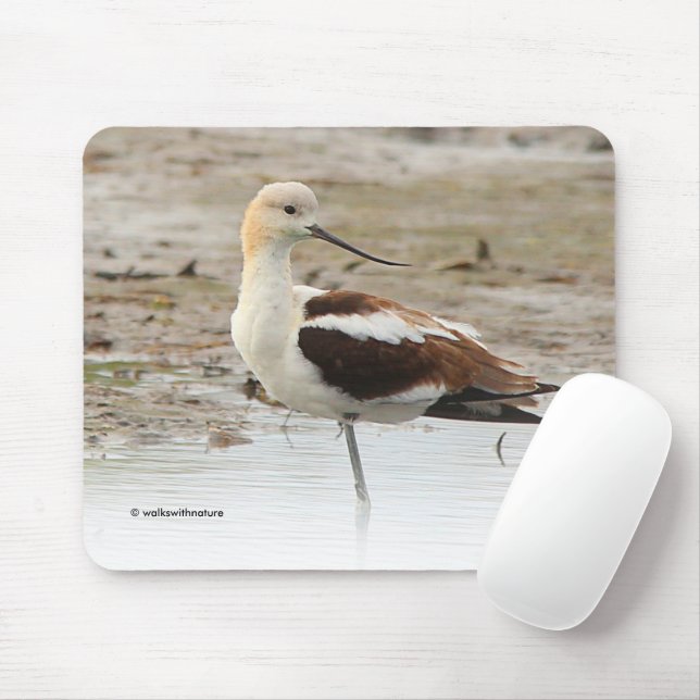 Stunning American Avocet Wading Bird at the Beach Mouse Mat (With Mouse)