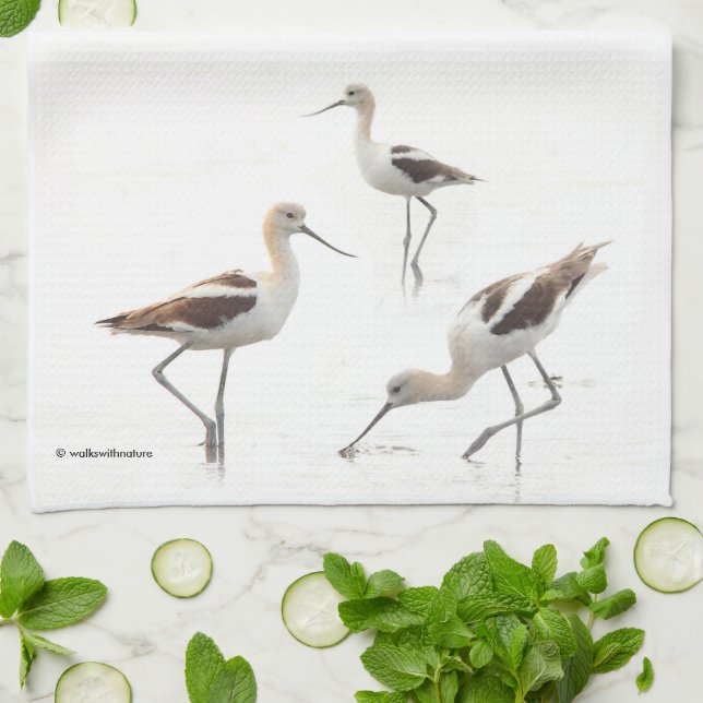 Stunning American Avocets Birds on the Beach Tea Towel (Folded)